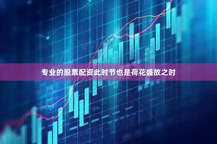 专业的股票配资此时节也是荷花盛放之时