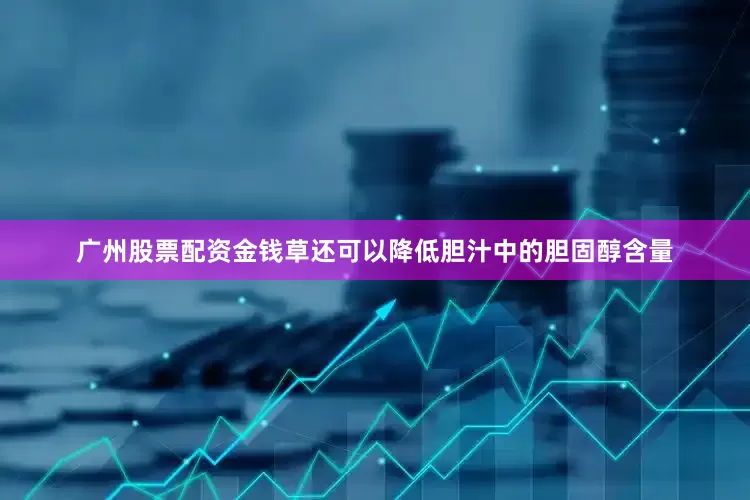 广州股票配资金钱草还可以降低胆汁中的胆固醇含量